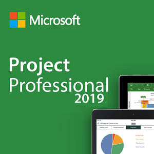 Microsoft Project 2019 Pro