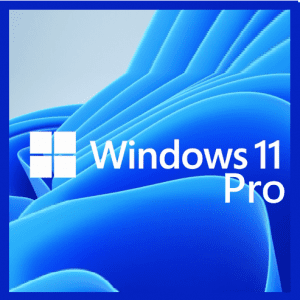 Microsoft Windows 11 Pro